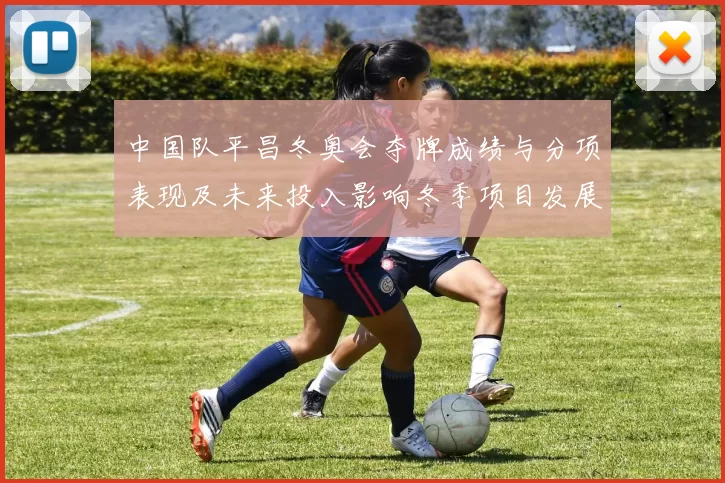 中国队平昌冬奥会夺牌成绩与分项表现及未来投入影响冬季项目发展