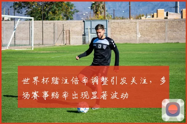 世界杯赌注倍率调整引发关注,多场赛事赔率出现显著波动