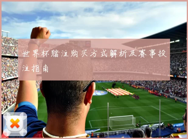 世界杯赌注购买方式解析及赛事投注指南